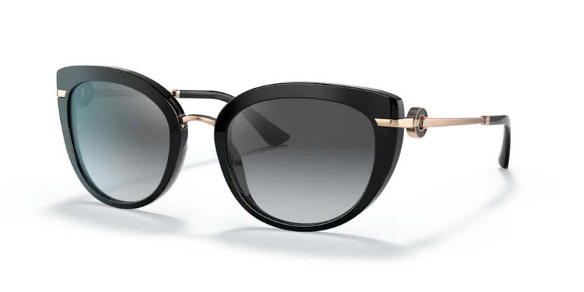 0BV8231B (501/T3-BLACK)