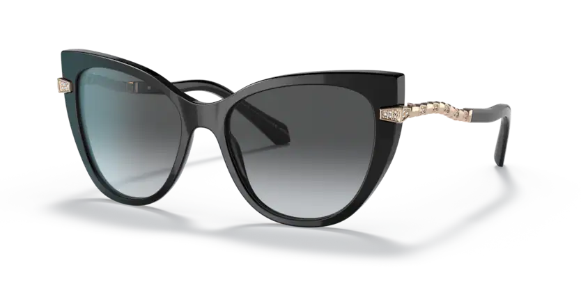 0BV8236B (501/T3-BLACK)