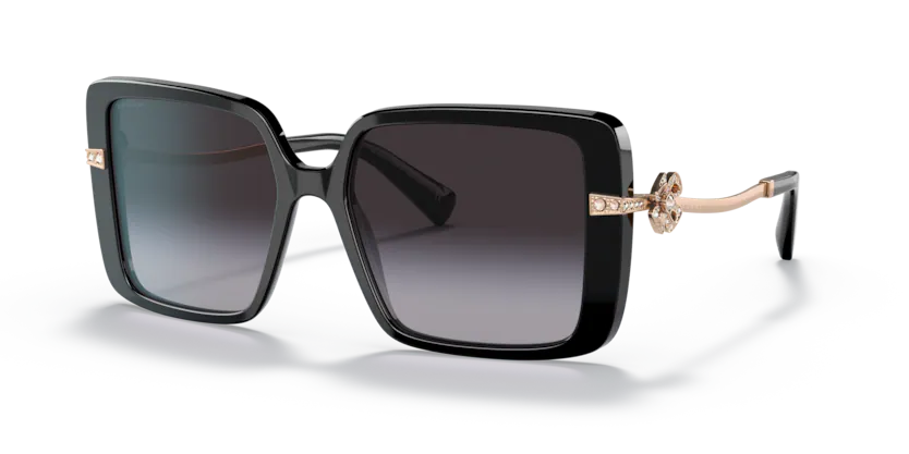 0BV8243B (501/8G-BLACK)