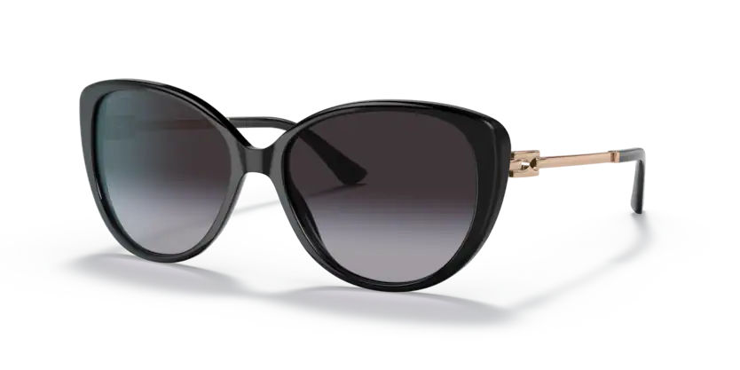 0BV8244 (501/8G-BLACK)